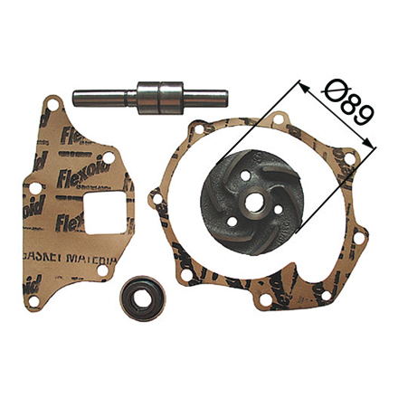 Kit riparazione pompa acqua per Ford