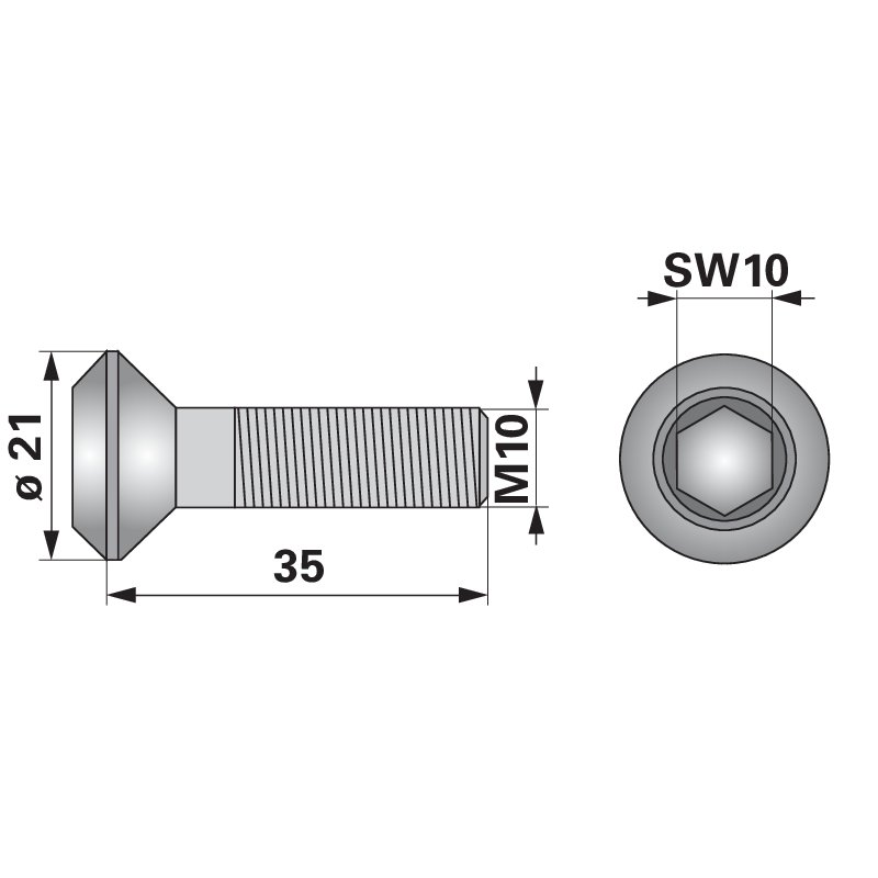 Vite a brugola M10 x 35 mm, 10 pezzi al posto di Vogel e Noot SS002