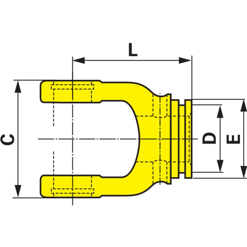 Forcella interna