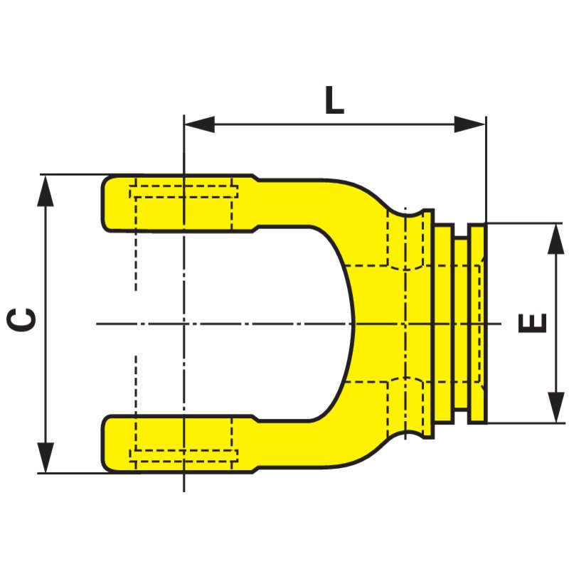 Forcella interna