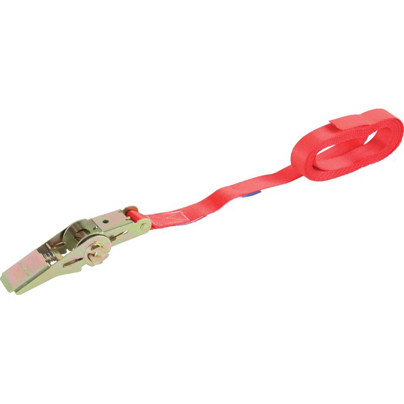 Zurrgurt mit Ratsche
