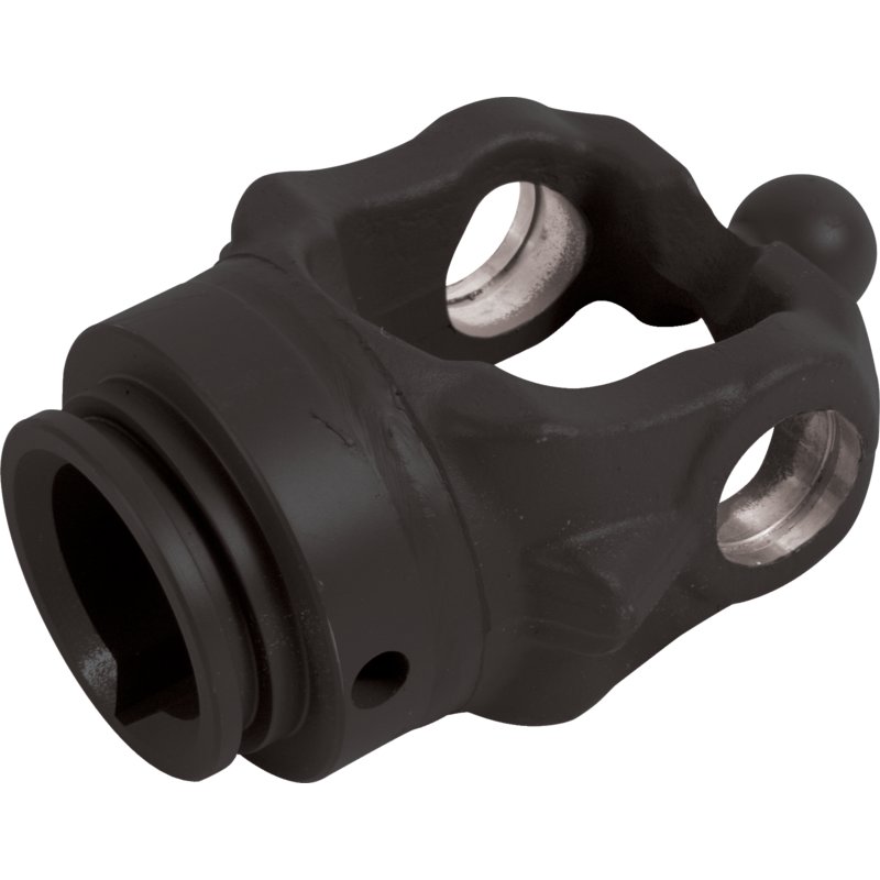 Forcella interna