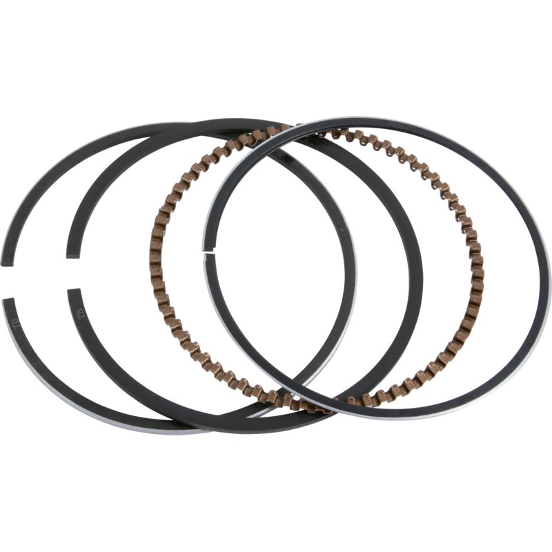 Set fasce elastiche