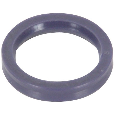Anello di tenuta