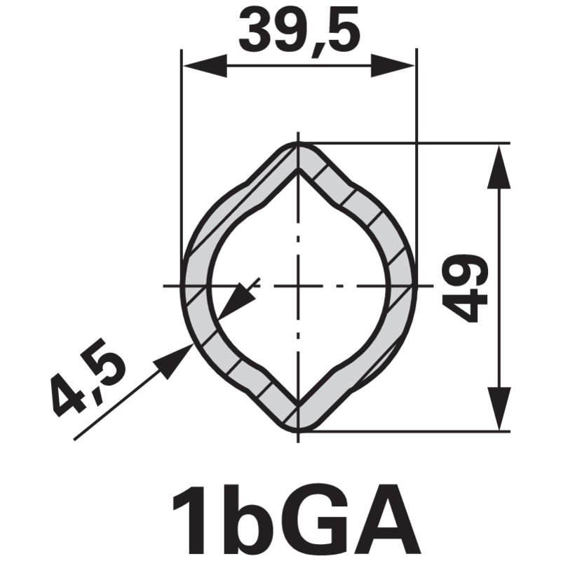 Forcella interna