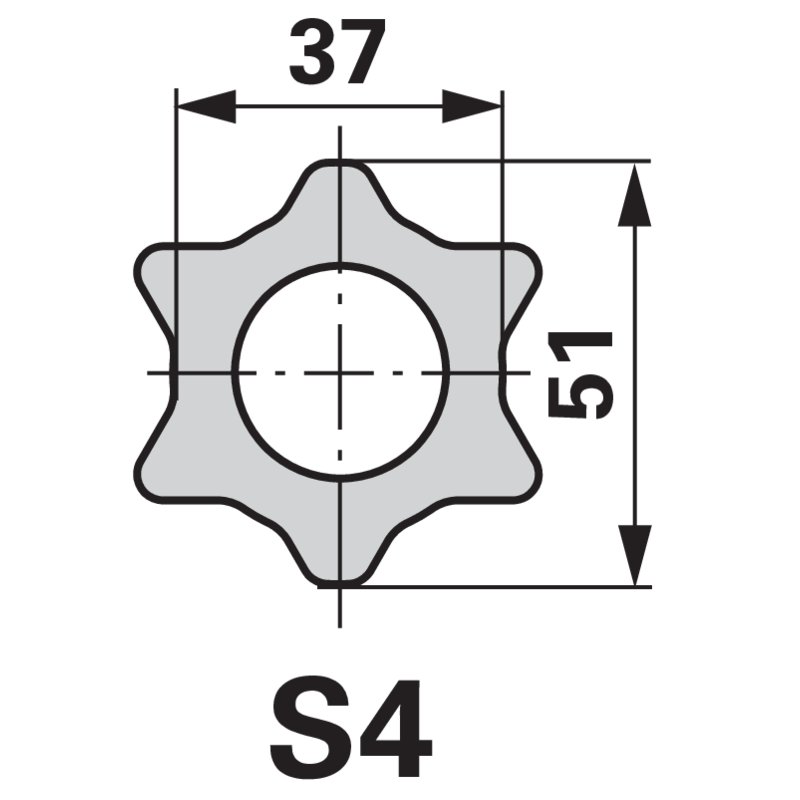 Forcella interna