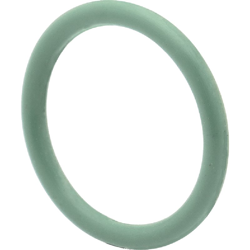 O - Ring HNBR