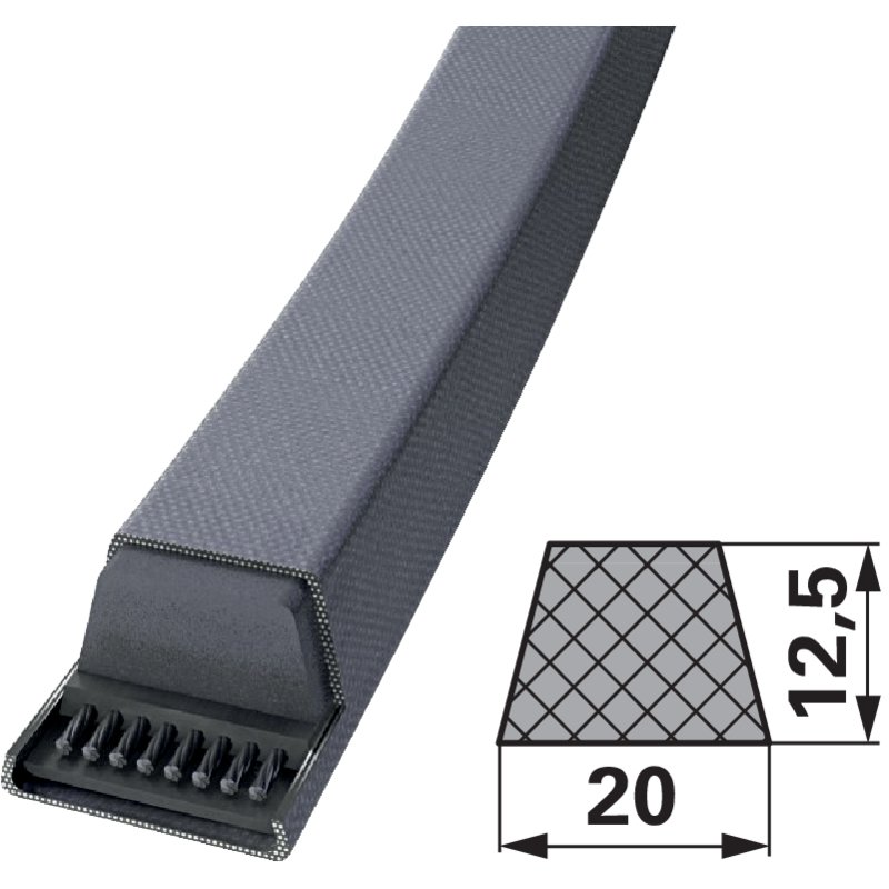 Cinghia trapezoidale