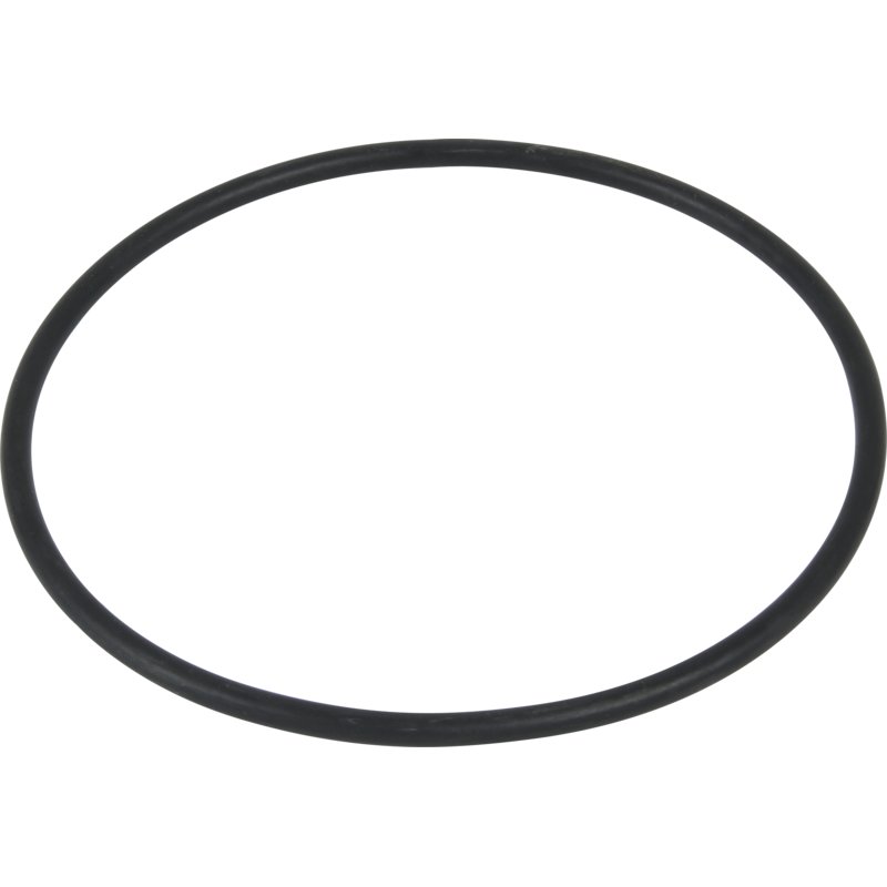 Dichtring