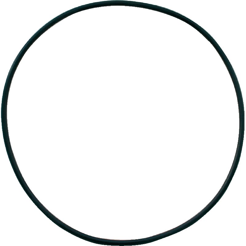 O-ring