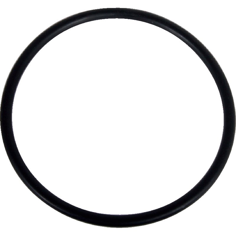 Dichtring für Schauglas mit Bajonett und 4 Zoll Schieber MZ