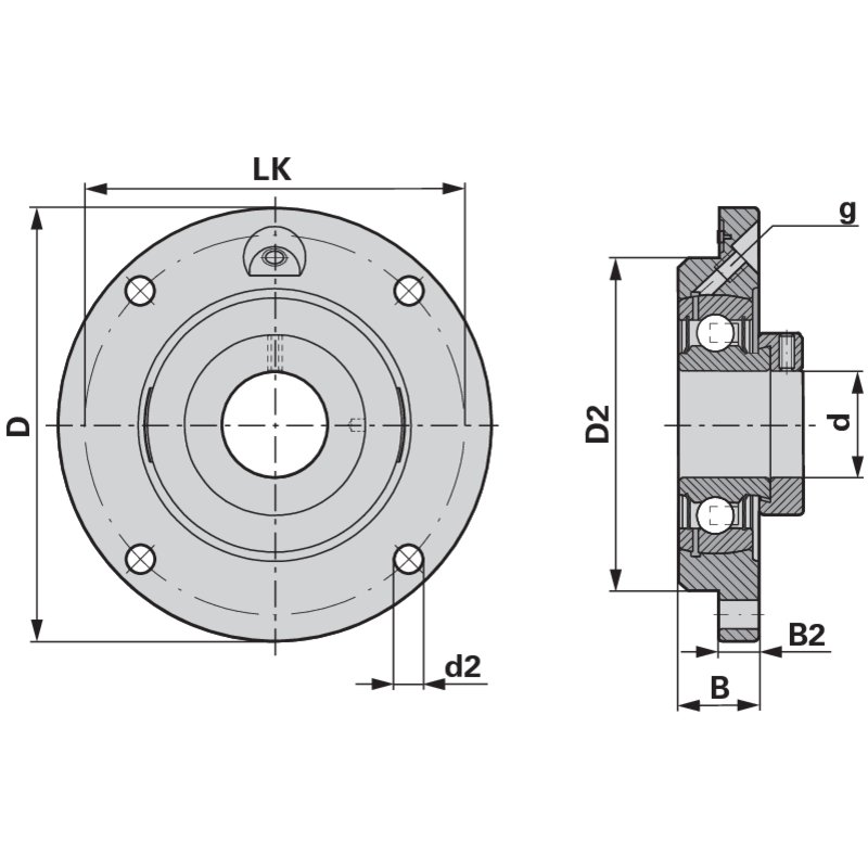 Cuscinetto flangiato