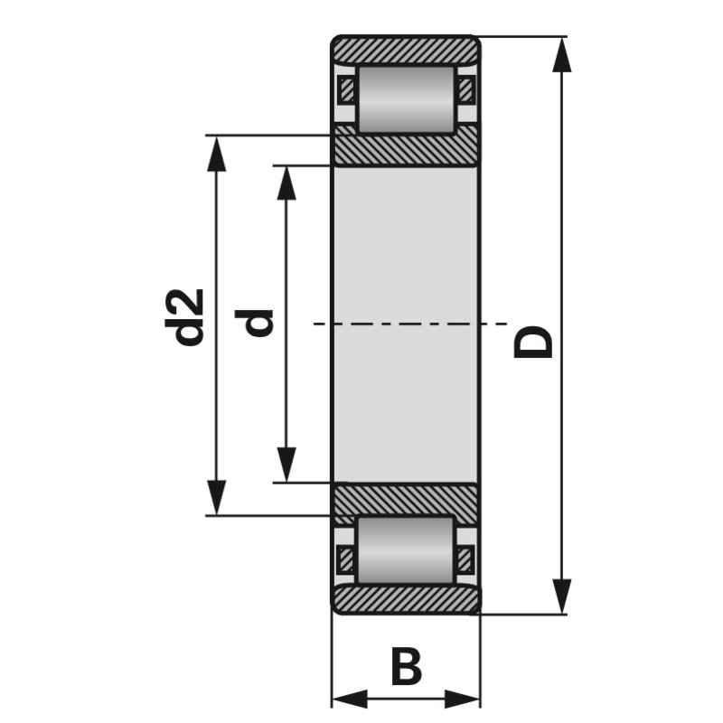 Cuscinetti a rulli cilindrici