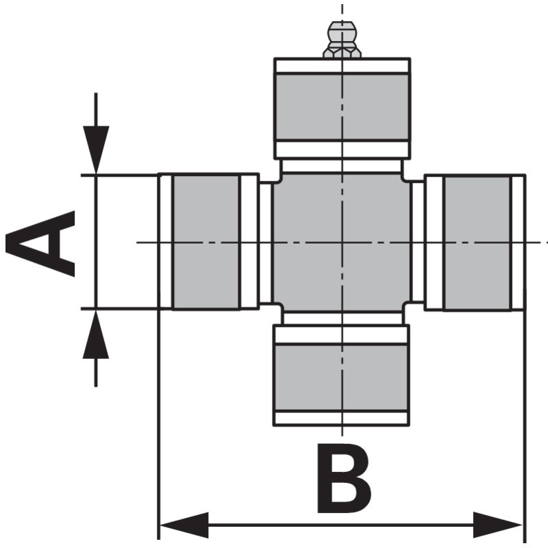 Forcella interna
