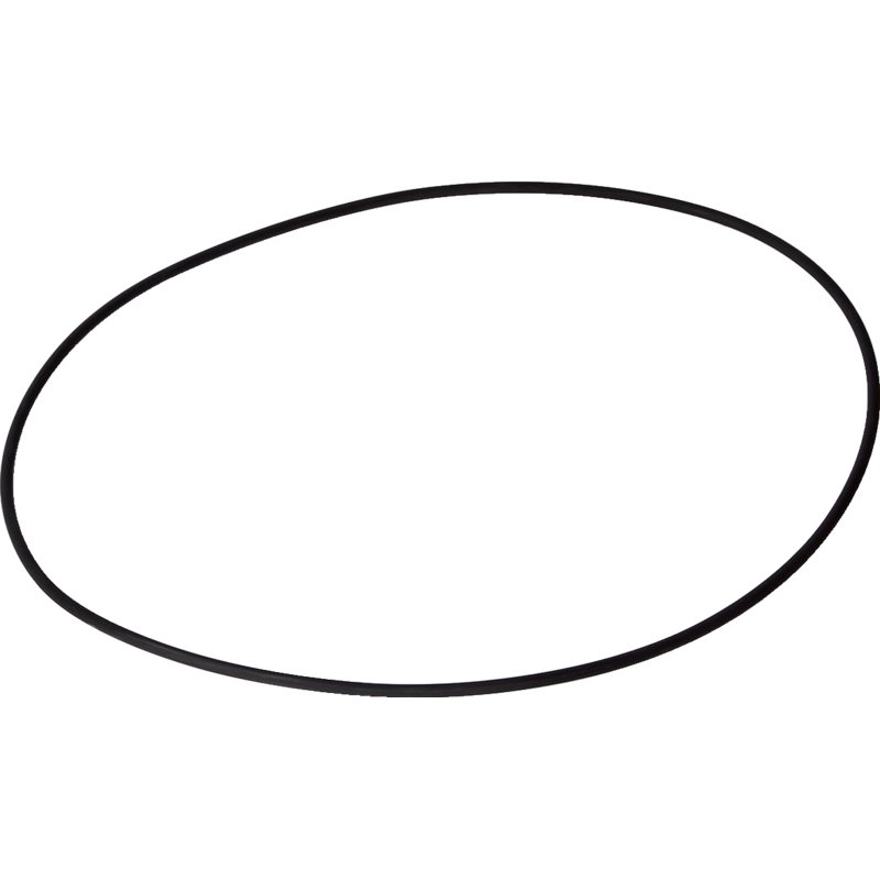 O-ring