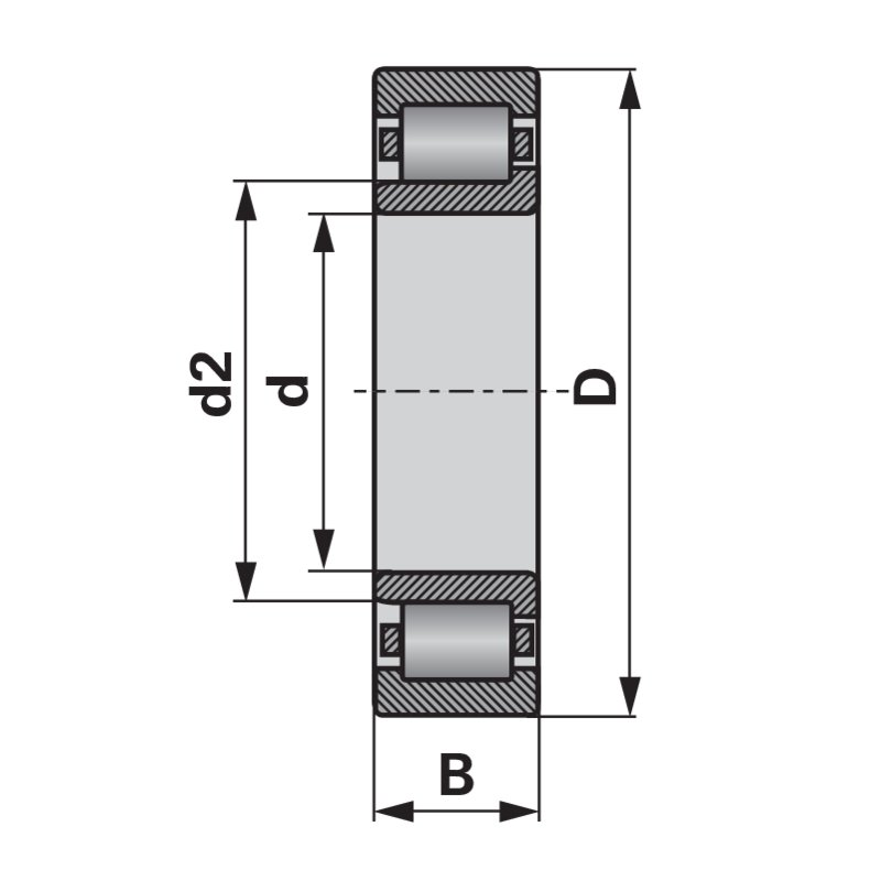 Cuscinetti a rulli cilindrici