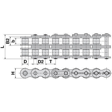 Rexnord Rollenkette Duplex ASA 60 H-2, 5 Meter, DIN8188