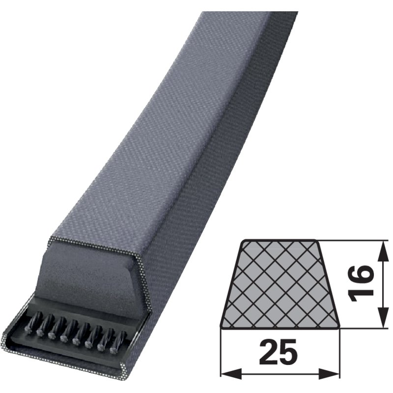 Cinghia trapezoidale