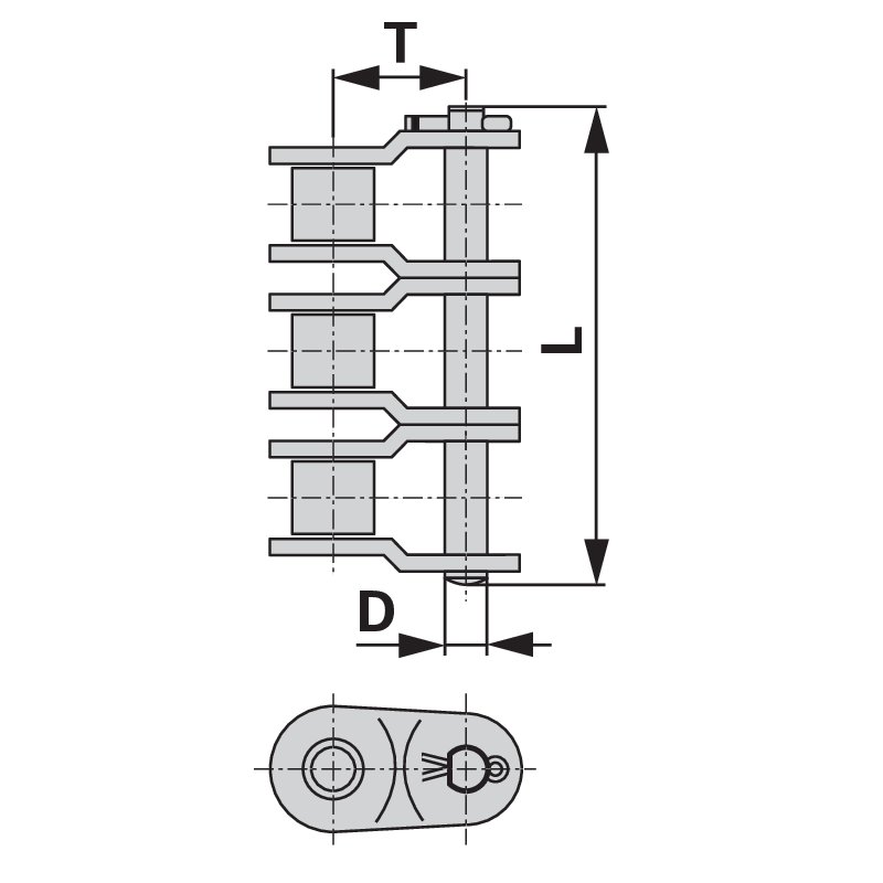 Collegamento maschile