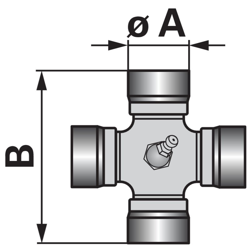 albero di trasmissione