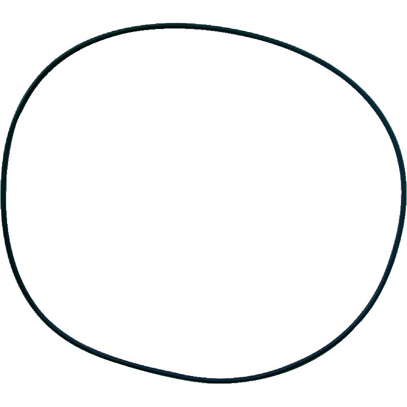 O-ring