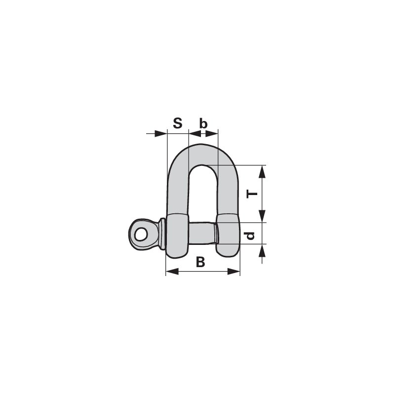 Schäkel M12, mit Augenbolzen Stahl verzinkt, DIN82101-A