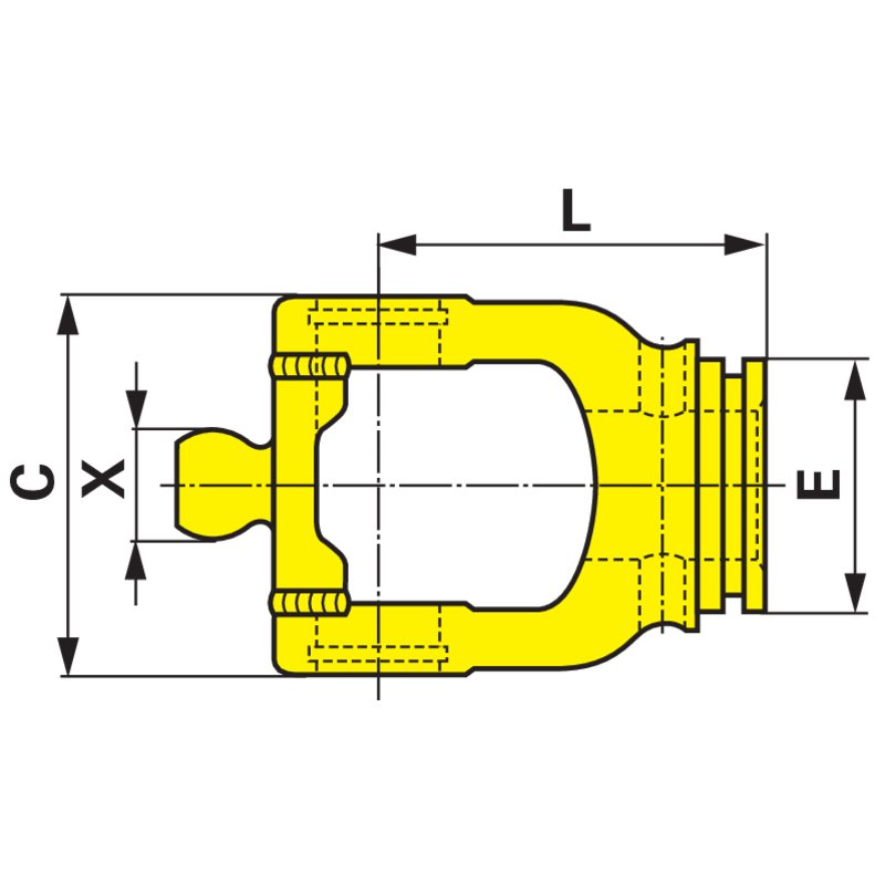Forcella interna