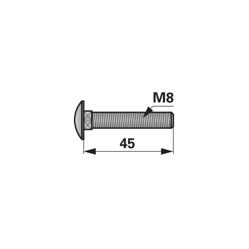 Flachrundschraube