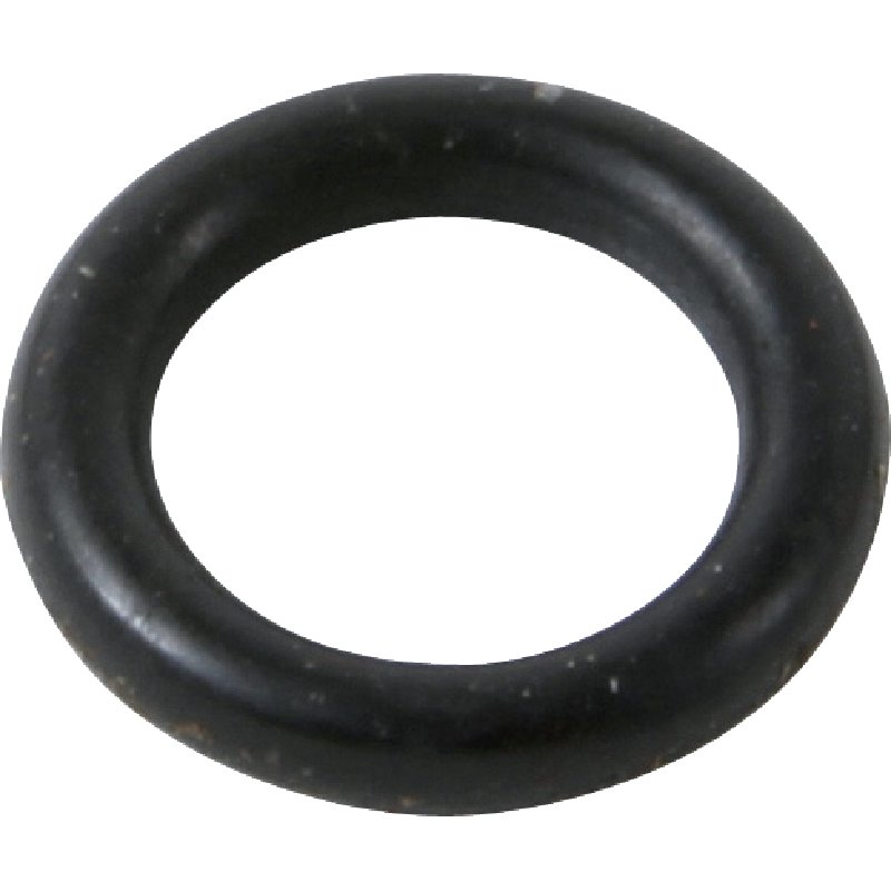 Anello di supporto