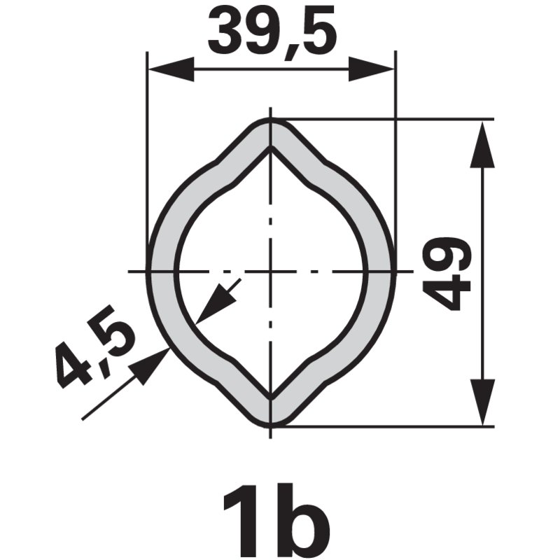 Forcella interna