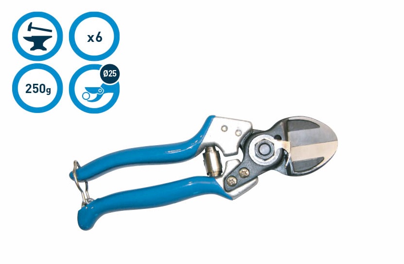 Rebschere C2 - Campagnola