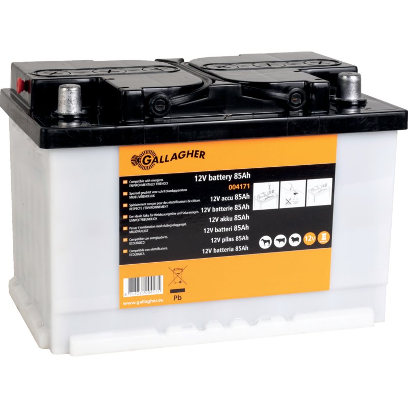 Batteria del recinto elettrico