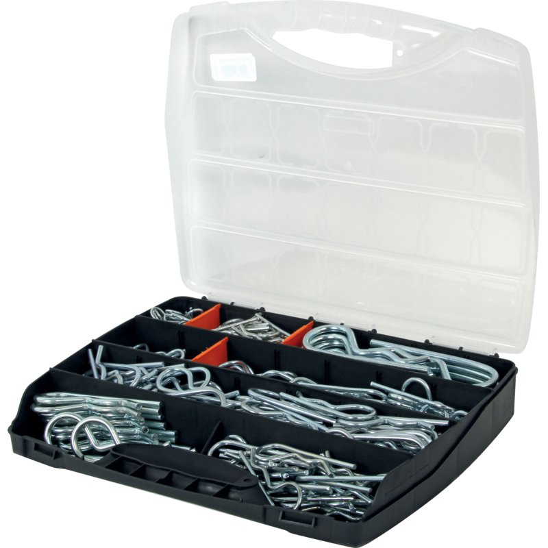 coppiglia primaverile