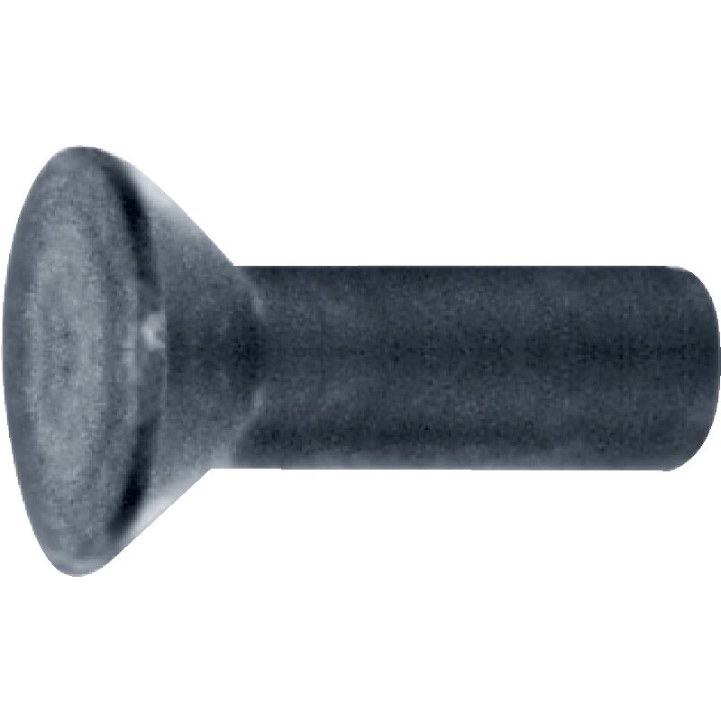Rivetti svasati