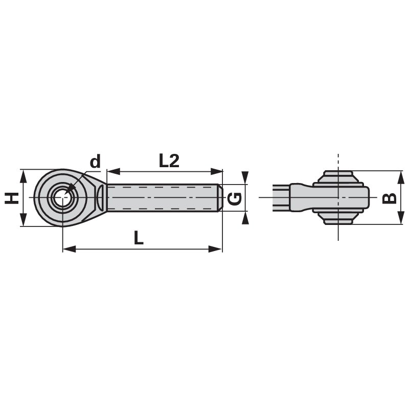 Spindel