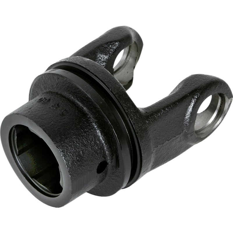Forcella interna
