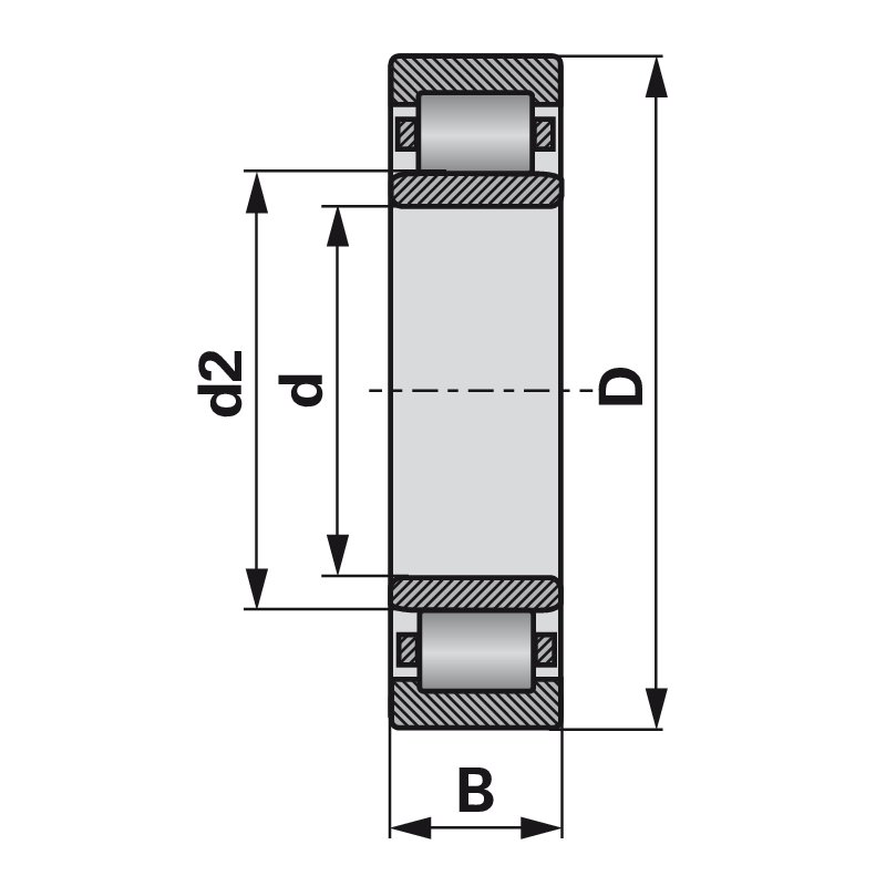 Cuscinetti a rulli cilindrici