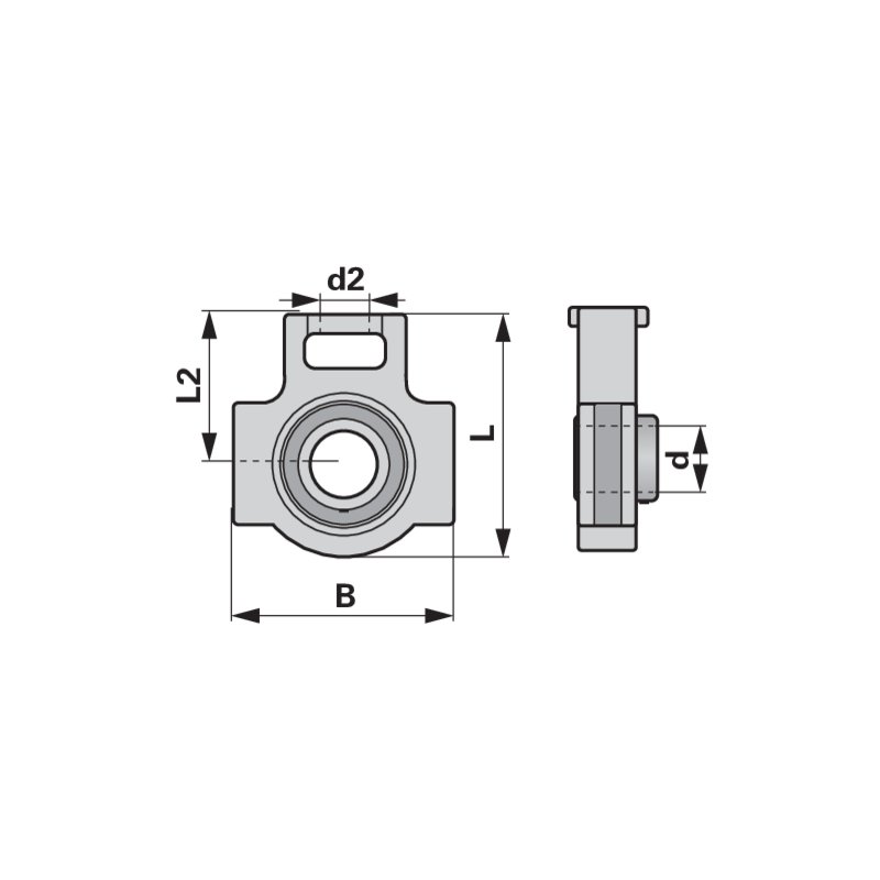 Unità cuscinetto a sfere con inserto radiale