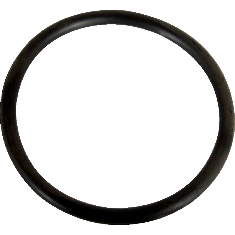 Dichtring für Siphon