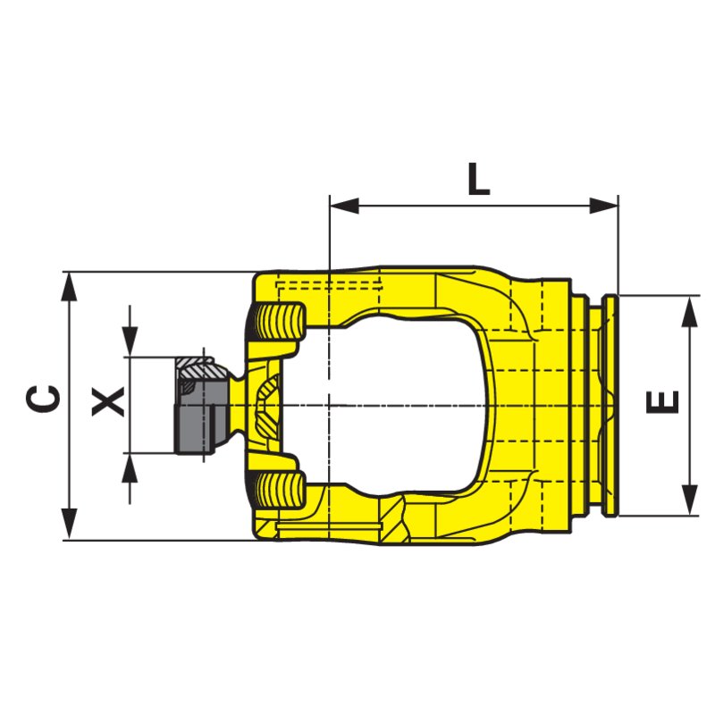 Forcella interna